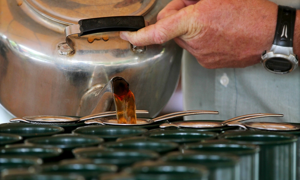 Whitsunday Wildlife Tour
