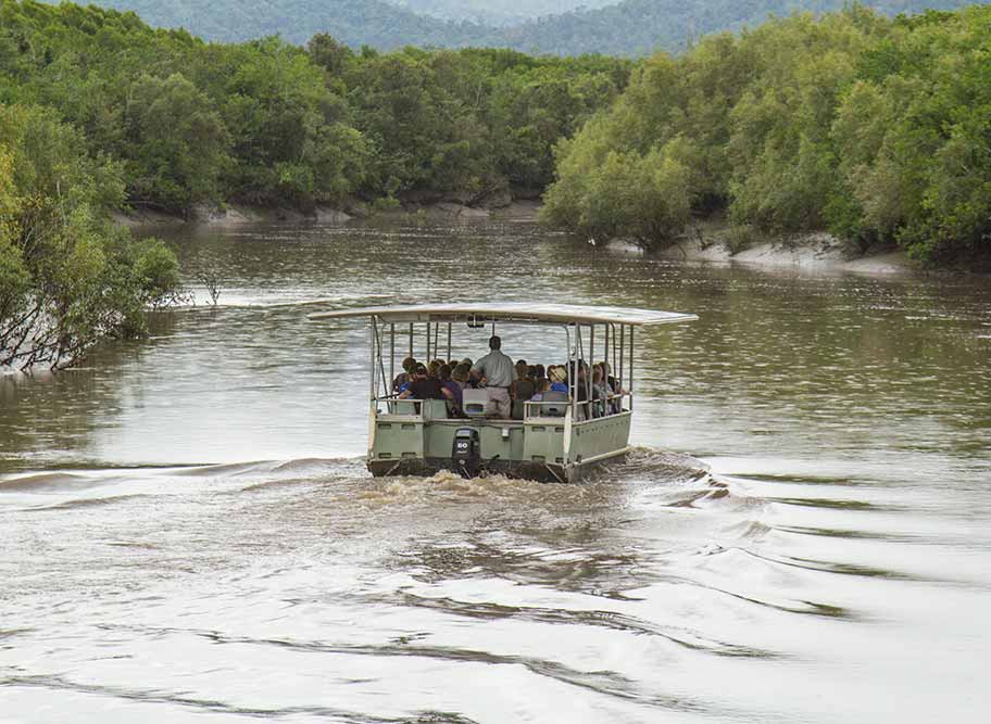 Airlie Beach Crocodile Safari