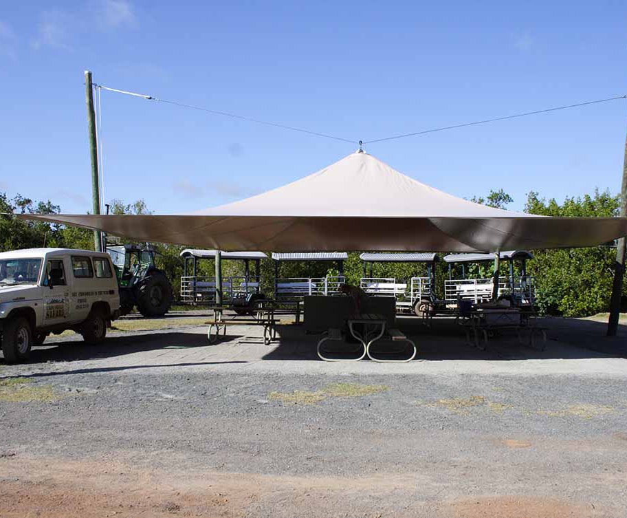 Airlie Beach Crocodile Safari
