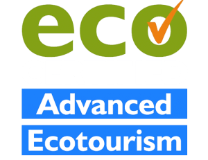 Whitsundays Crocodile Safari