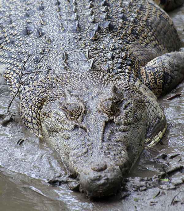 Day Tour Whitsundays